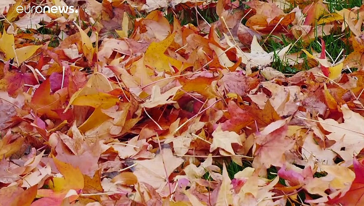 Trotz Corona: Einmal um den Globus - in den 'Gärten der Welt'