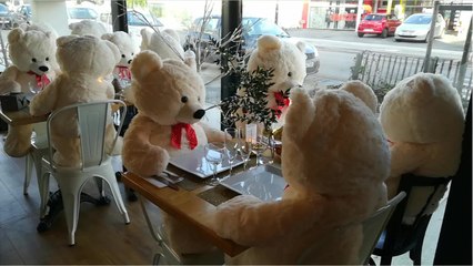 Des peluches mangent au restaurant