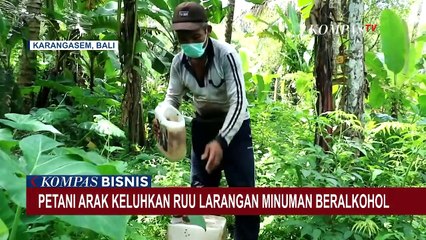 Polemik RUU Larangan Minuman Beralkohol, Inisiator Pertimbangkan Dampak Alkohol