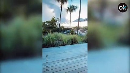 Así celebra Dustin Johnson el Masters de Augusta