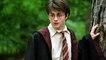 Stasera in tv, Harry Potter e la camera dei segreti: 5 curiosità sul film che non sapevate