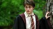 Stasera in tv, Harry Potter e la camera dei segreti: 5 curiosità sul film che non sapevate
