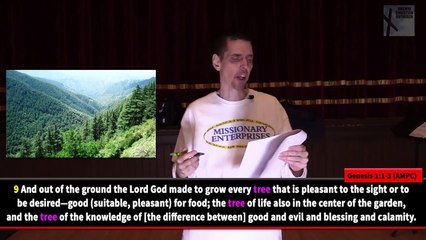 PART 2 - Omemee (The Creation / The Fall / Consequences)