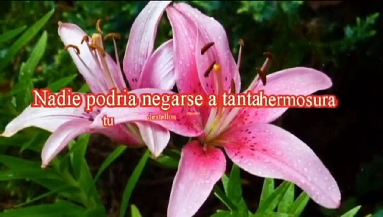 Poemas de amor y versos romanticos.(ERES MI Sueño ) ,,para dedicar