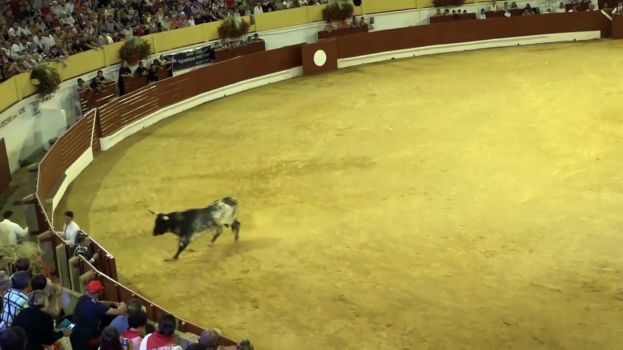 31.07.18 Hagetmau Dargelos Club Boletero Landes Emotions  Toro Emotions  de Malabat