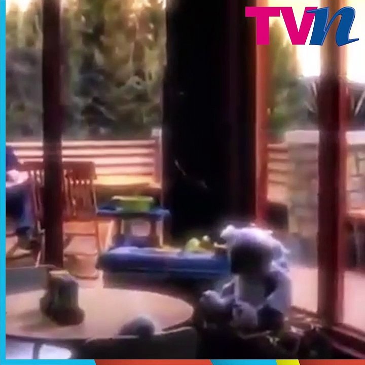 El sorpresivo regreso de Patrick Dempsey a Grey’s Anatomy