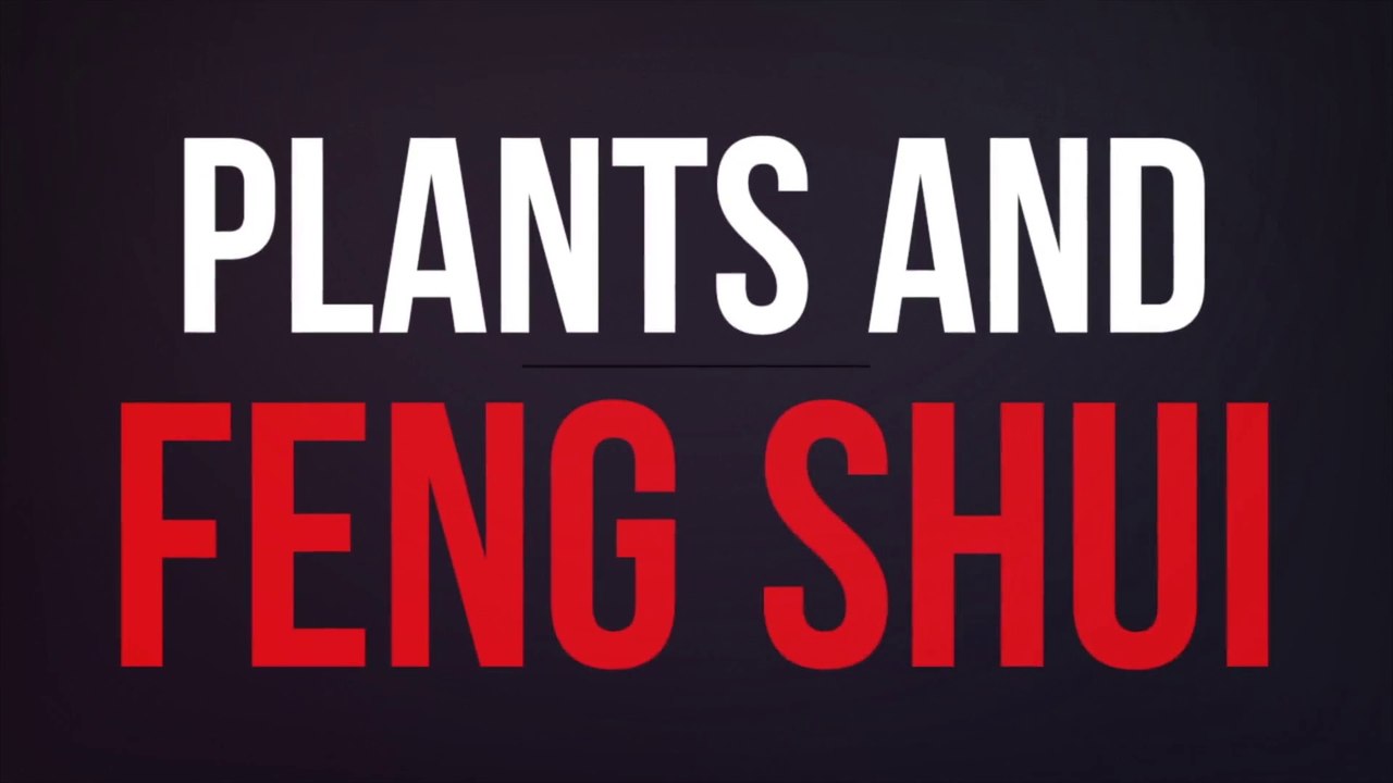 Plants and Feng Shui