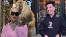 Jeffree Star & James Charles Accused on Exploiting Animals for Clothing Brand