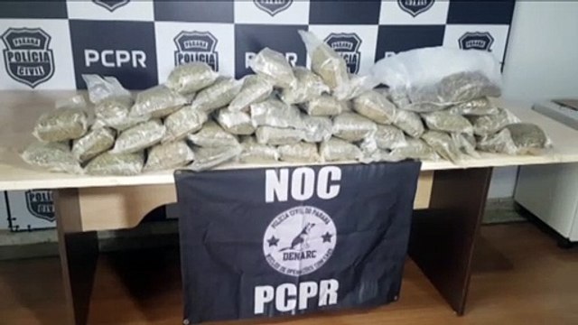 Dois são flagrados transportando maconha em ação da Denarc na Rodoviária