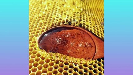 Oddly Satisfying Video for Sleep & Calm Your Nerves