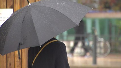 [날씨] 산발적 비에 미세먼지 해소...내일 가을 폭우 / YTN