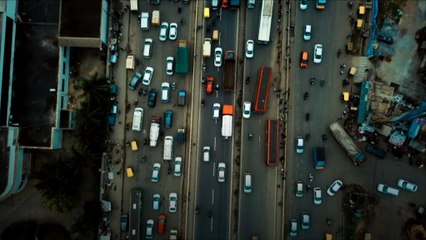 Karınca milleti insan milletinin trafik sorununa çözüm sunabilir mi?