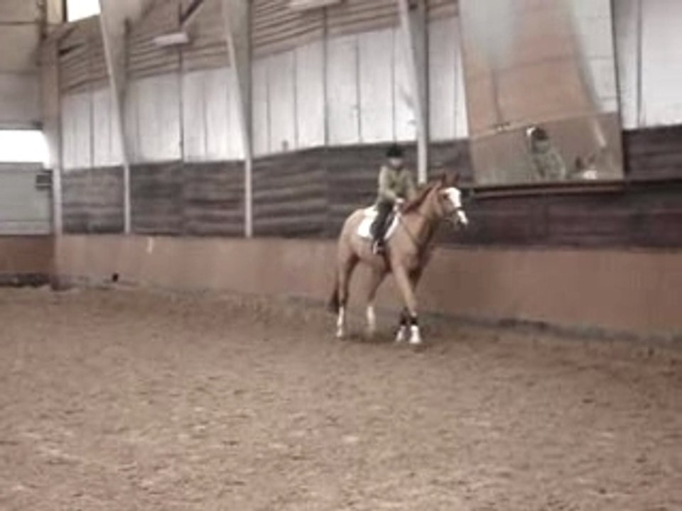 Djeba le plus beau