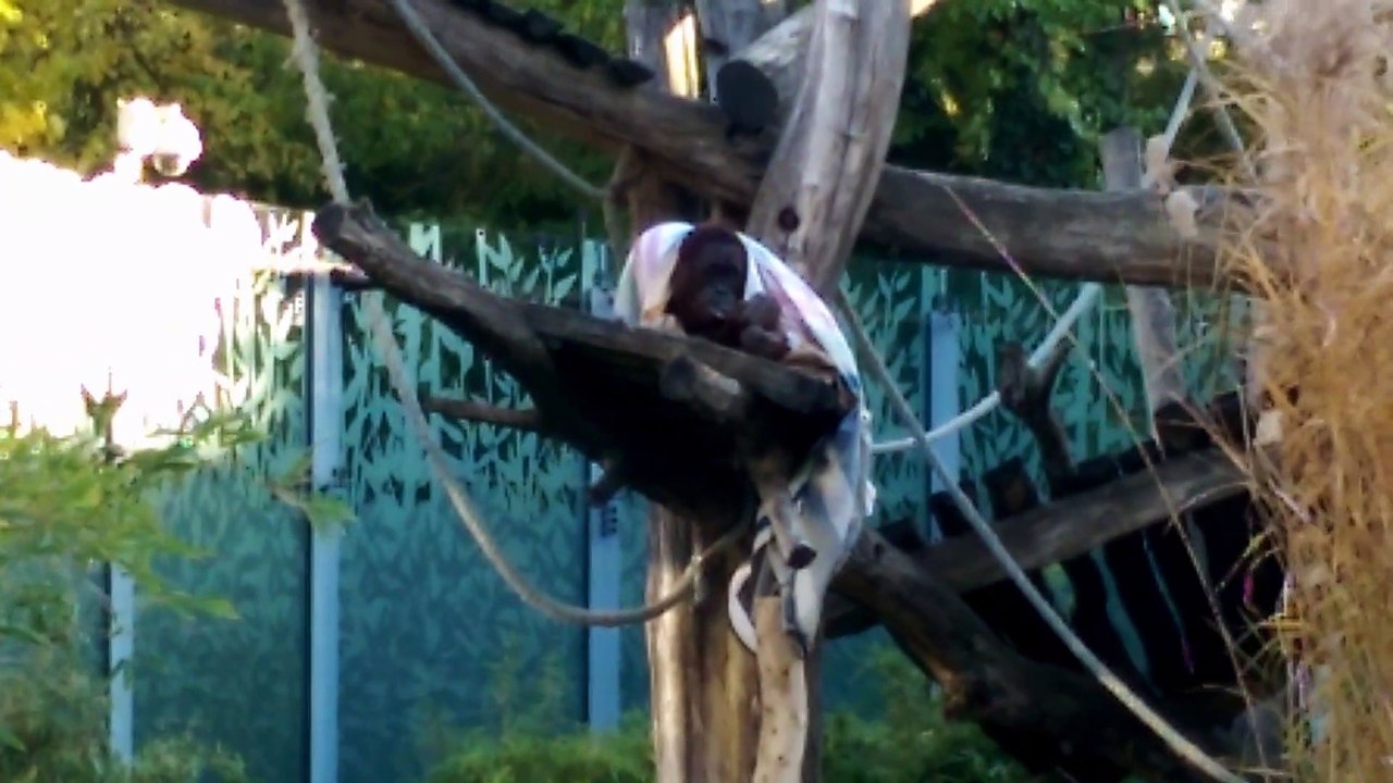 Berta auf Fuerteventura 04