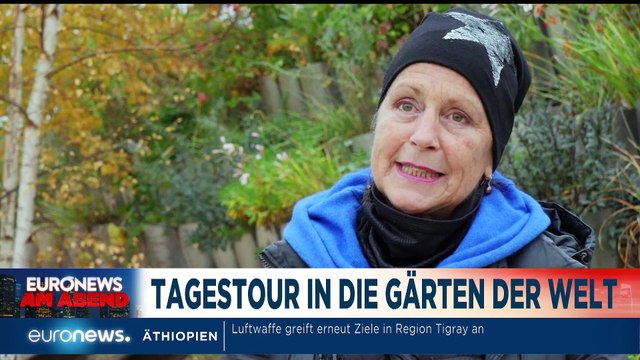 Österreich im Lockdown 2 - Clan-Festnahmen in Berlin - Euronews am Abend 17.11.