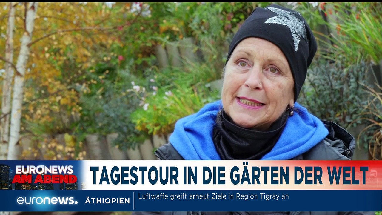 Österreich im Lockdown 2 - Clan-Festnahmen in Berlin - Euronews am Abend 17.11.