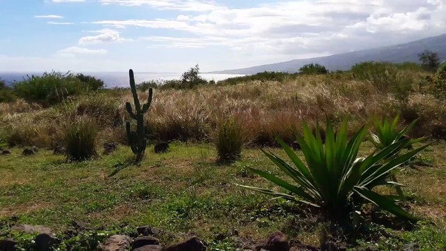 UNE VUE POINTE AU SEL A L'ILE DE LA REUNION;UNE VUE POINTE AU SEL A L'ILE DE LA REUNION
