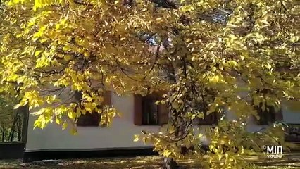 А ось вам хлопці та дівчата приклад українофобської пропаганди, яку застосовували і досі застосовують на Росії