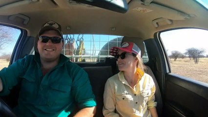 Newlyweds spend honeymoon giving farmers a break