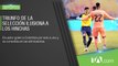 Hinchas celebraron el triunfo de la Selección de Ecuador