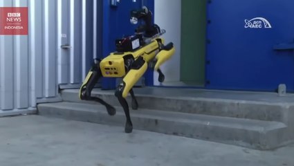 Robot anjing deteksi radiasi nuklir di Chernobyl