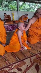 Monk Child Can't Stay Awake
