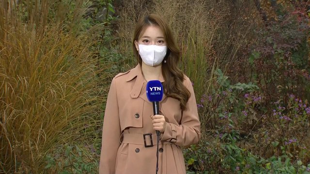 [날씨] 이례적 포근한 날씨...밤사이 벼락·돌풍 동반 가을 폭우 / YTN