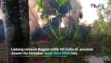 Kebakaran Dahsyat India, Enam Bulan Api Baru Bisa Dipadamkan