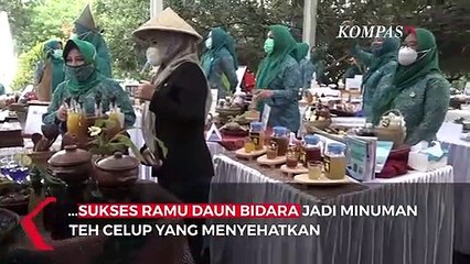 Mantap! Ibu PKK Ramu Daun Bidara Jadi Teh Berkhasiat
