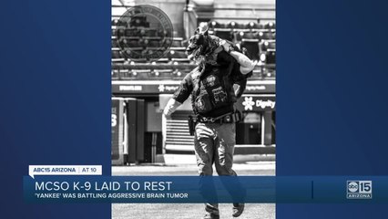MCSO K-9 laid to rest