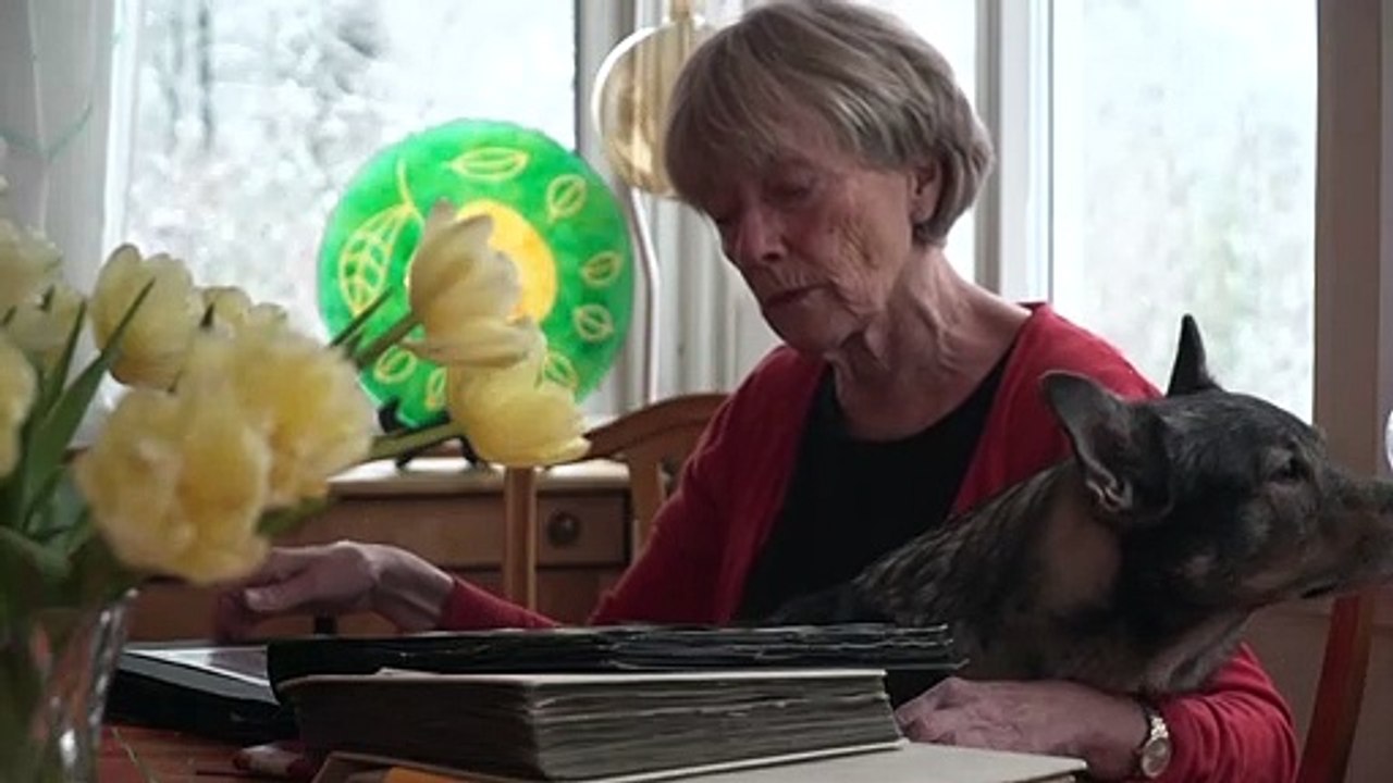 Schwedischer diplomat erfuhr früh vom holocaust