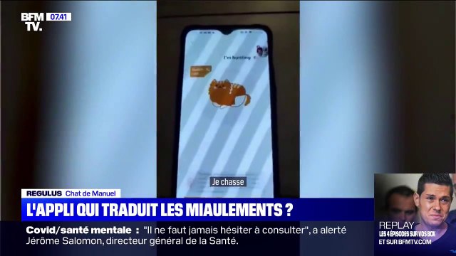 Que vaut Meow Talk , l'appli qui prétend traduire les miaulements de votre chat ?