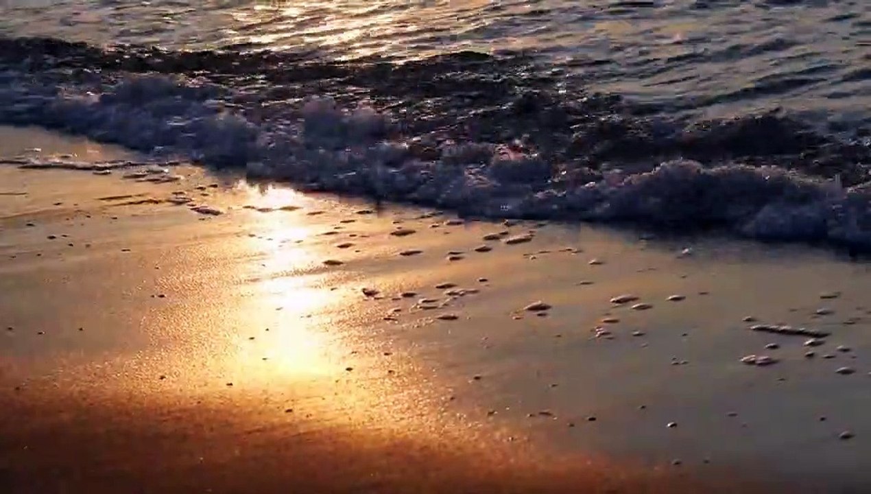 Sons das ondas do mar para relaxar e dormir, Sonidos de las olas del mar para relajarse,Sons des vagues de l'océan pour se détendre, Sounds of the ocean waves to relax and sleep, Entspannen Sie sich und schlafen Sie mit den Klängen der Meereswellen, 海の波の音