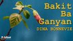Dina Bonnevie - Bakit Ba Ganyan - (Official Lyric)