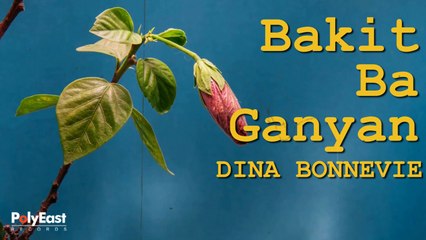 Dina Bonnevie - Bakit Ba Ganyan - (Official Lyric)