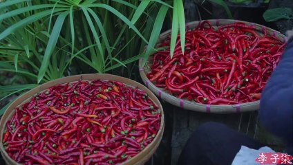 The life of taro and pepper is today’s treat
