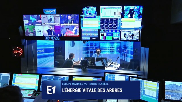 Environnement : les arbres ont des droits