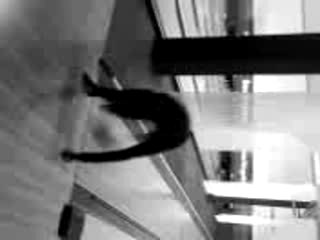 bowling carré sénart 2