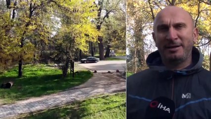 Kadim Payitaht ‘Hazan Mevsiminde’ Renk Cümbüşüne Sahne Oluyor