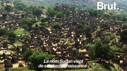 L'histoire de Sudan, le rhinocéros "ambassadeur de toutes les espèces menacées"