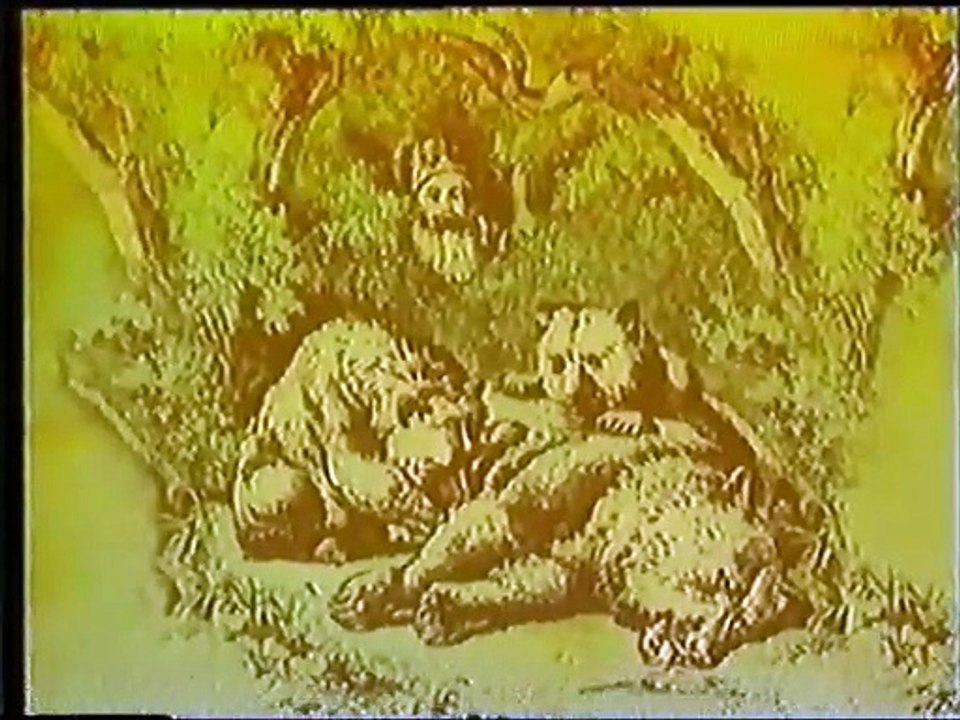 La leyenda de Grizzly Adams (Español Latino)