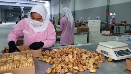 Aydın'dan 45 günde 83 ülkeye 70,22 milyon liralık incir ihracatı yapıldı