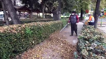 - Temizlik ekiplerinin “yaprak' mesaisi kolaylaştı