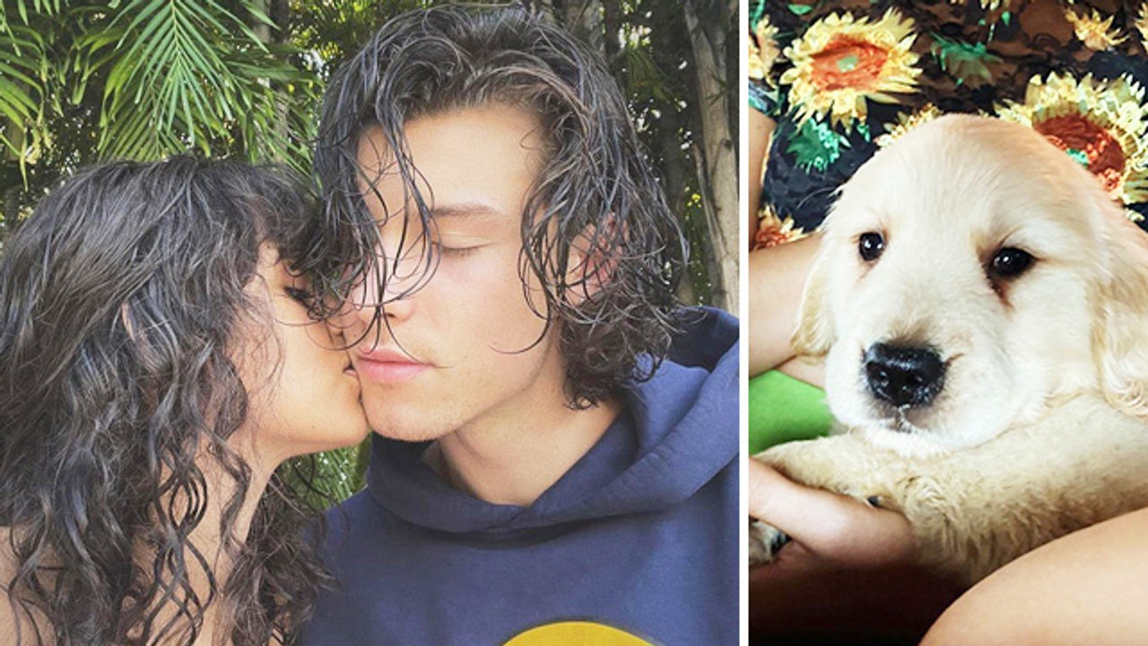 Camila & Shawn Shares A Sweet Kiss After Becoming Dog Parents