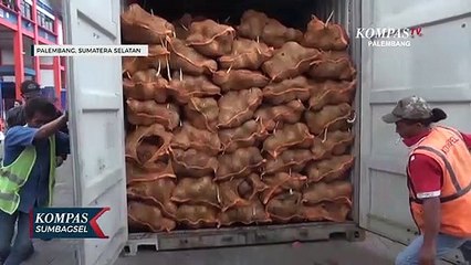 Buah Kelapa Dorong Tumbuhnya Ekspor Sumsel