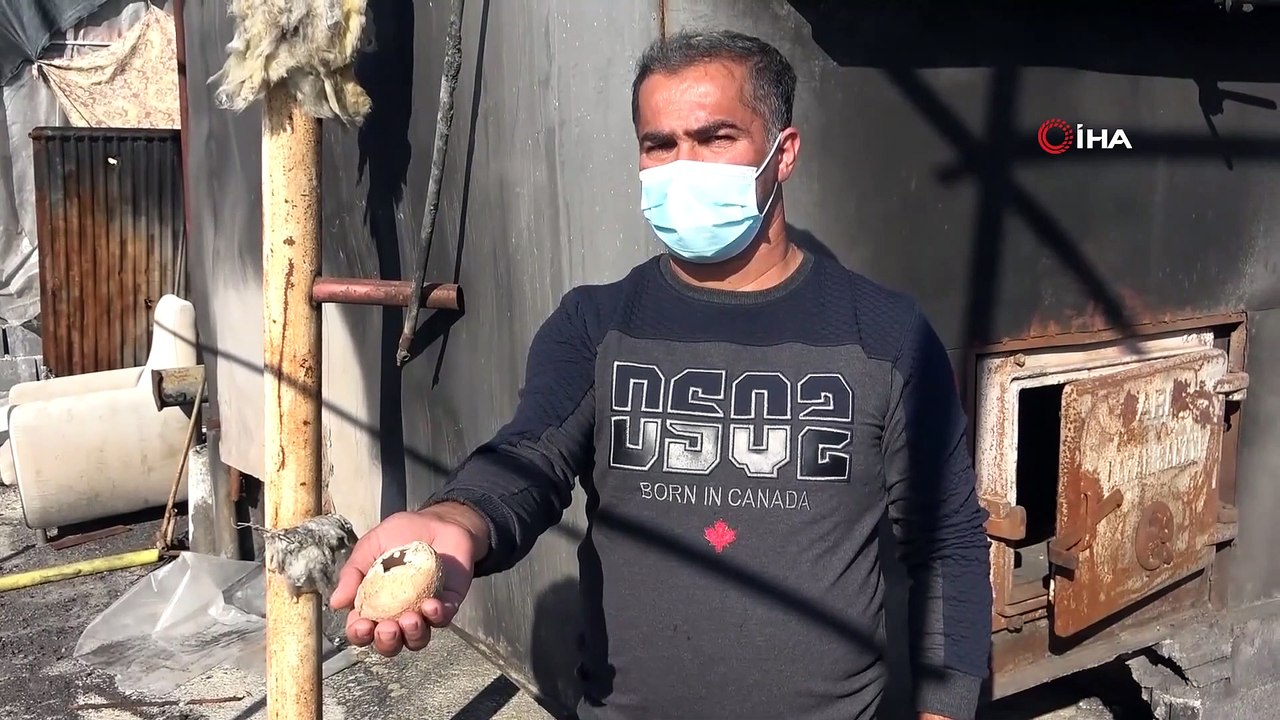 "Milyonda Bir Görülüyor": 4 Katmanlı Yumurtadan Yumurta Çıktı