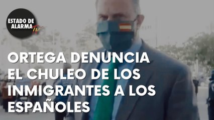 ORTEGA-SMITH  DENUNCIA el chuleo de inmigrantes que quieren LUZ GRATIS