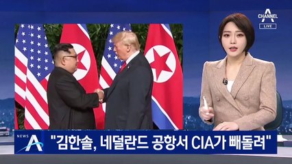 “김정남 아들 김한솔, 네덜란드 공항서 CIA가 빼돌려”