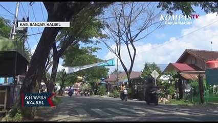 Tanggapi Kekhawatiran Pohon Roboh di Pinggir Jalan, DLH Banjar Janji Lakukan Pembenahan