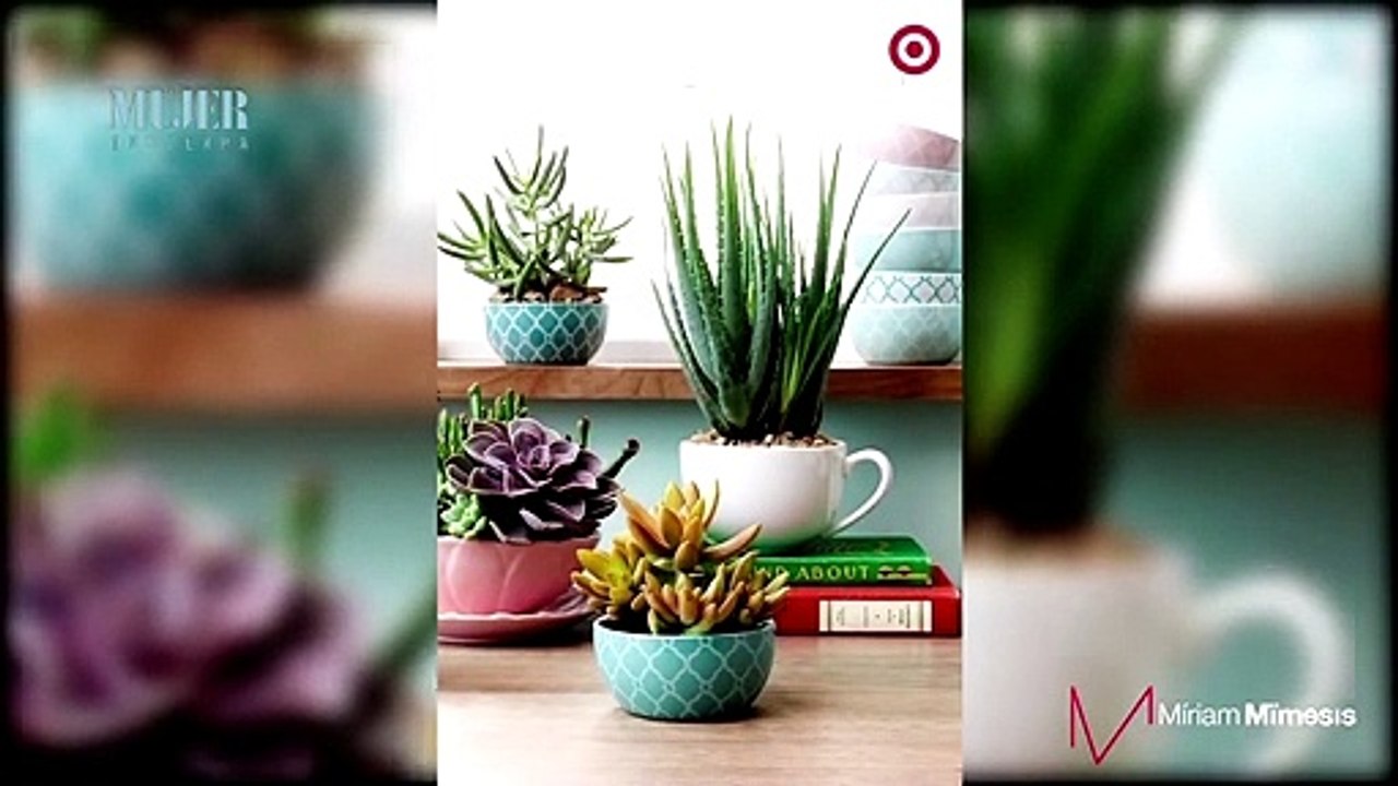 Diseño de interiores | ¿Cómo usar las plantas para decorar? - Nex Panamá